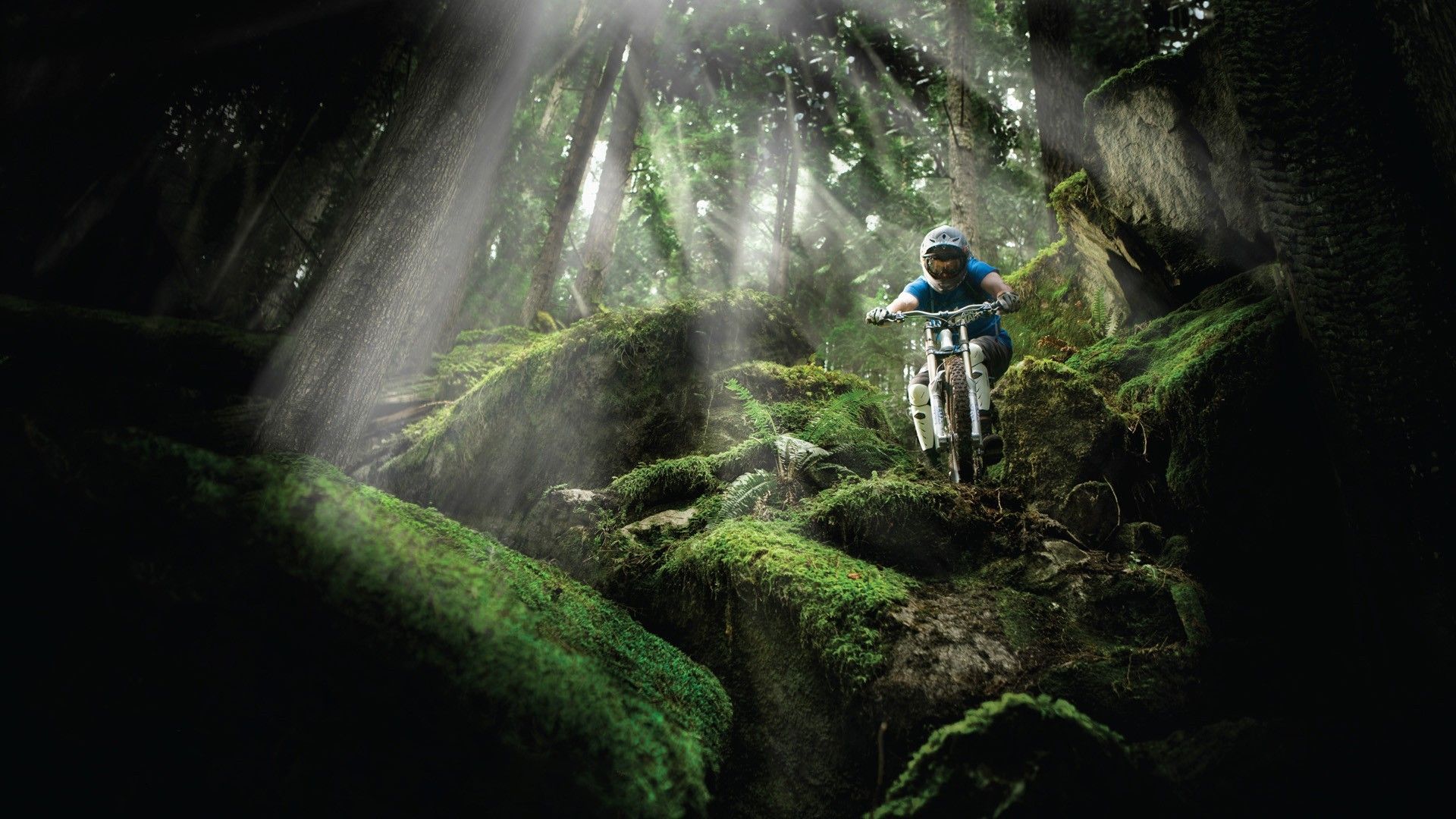 Cool Mountain Biking Wallpapers