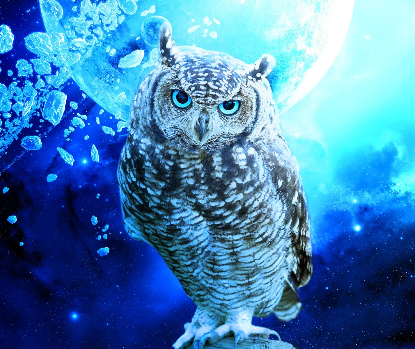 Cool Owl Wallpapers