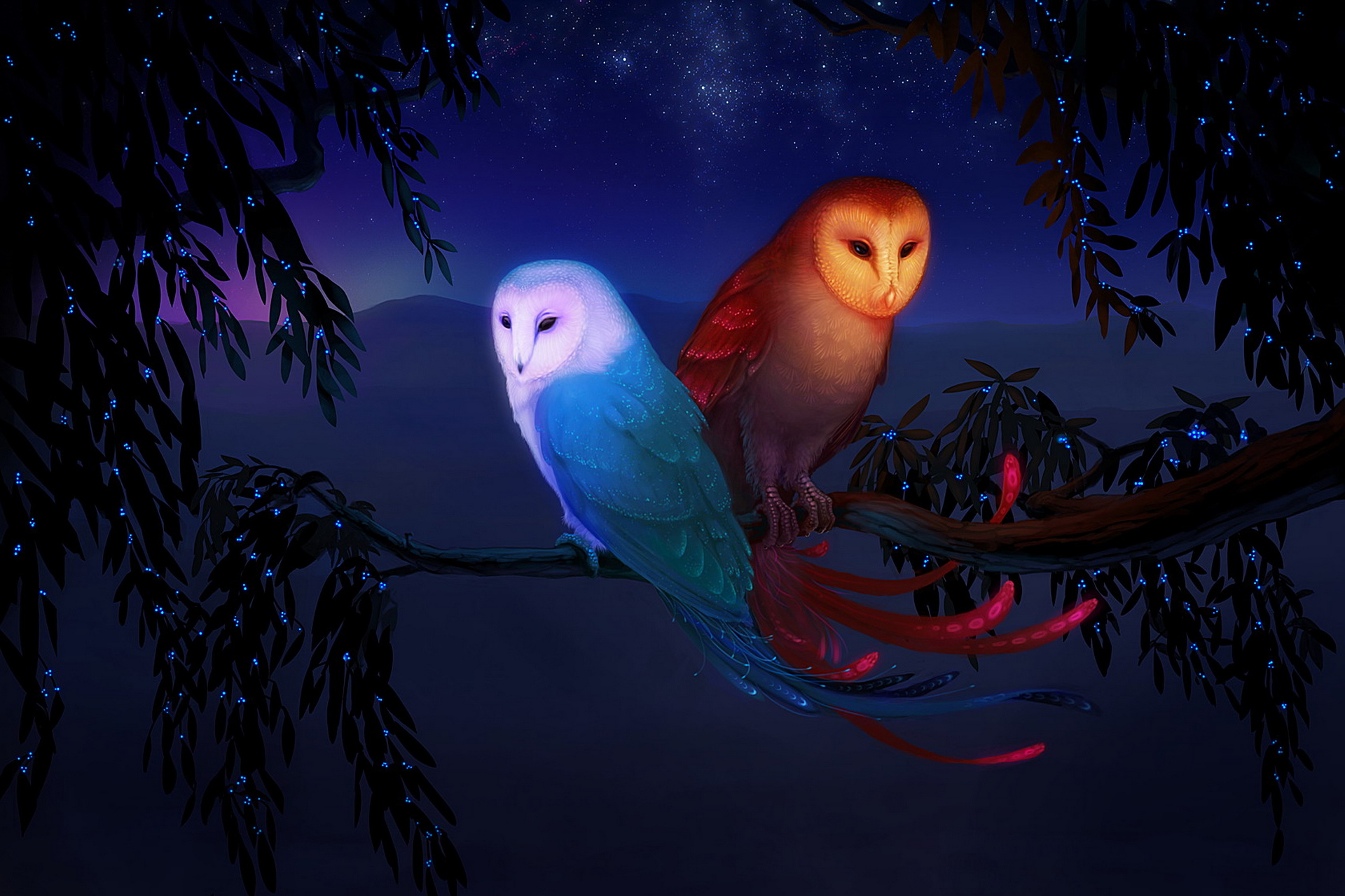 Cool Owl Wallpapers