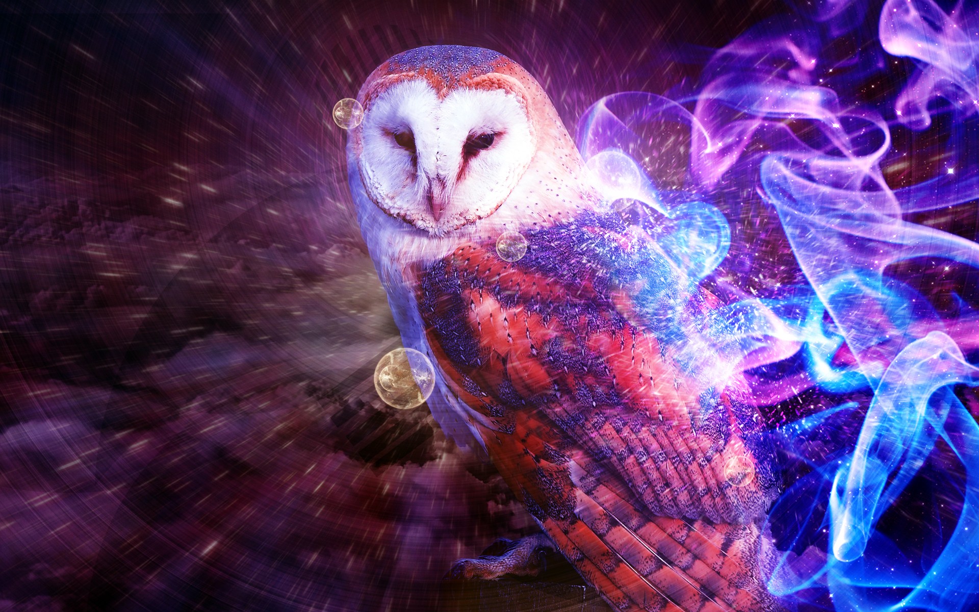 Cool Owl Wallpapers