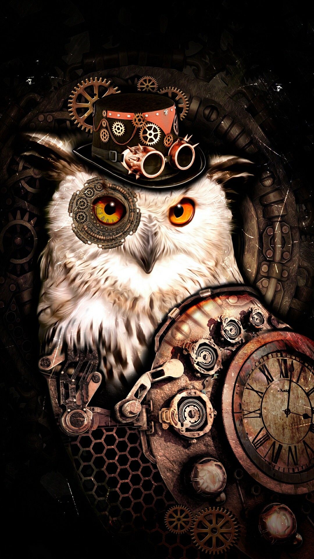 Cool Owl Wallpapers