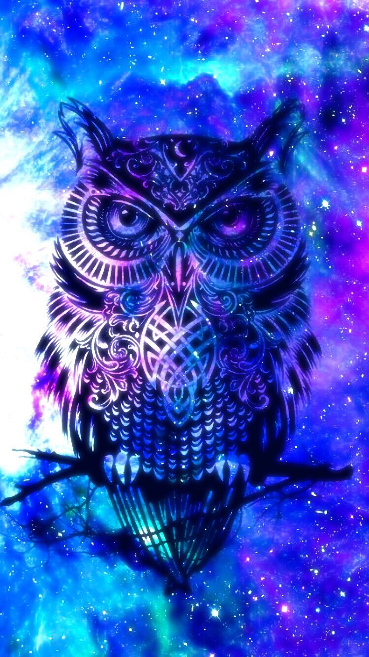 Cool Owl Wallpapers