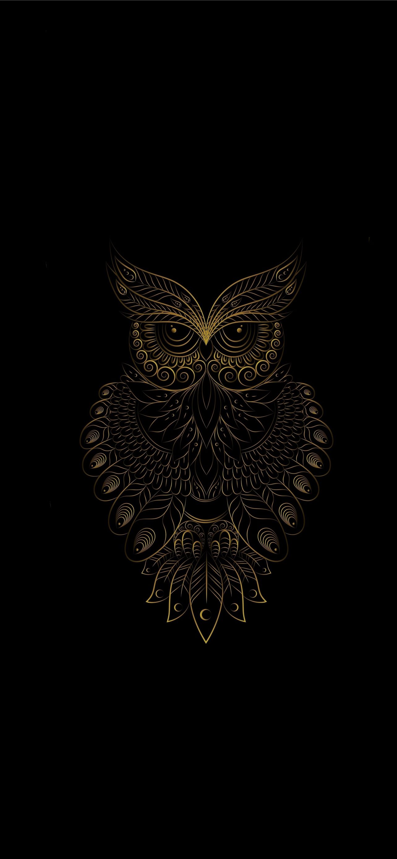 Cool Owl Wallpapers