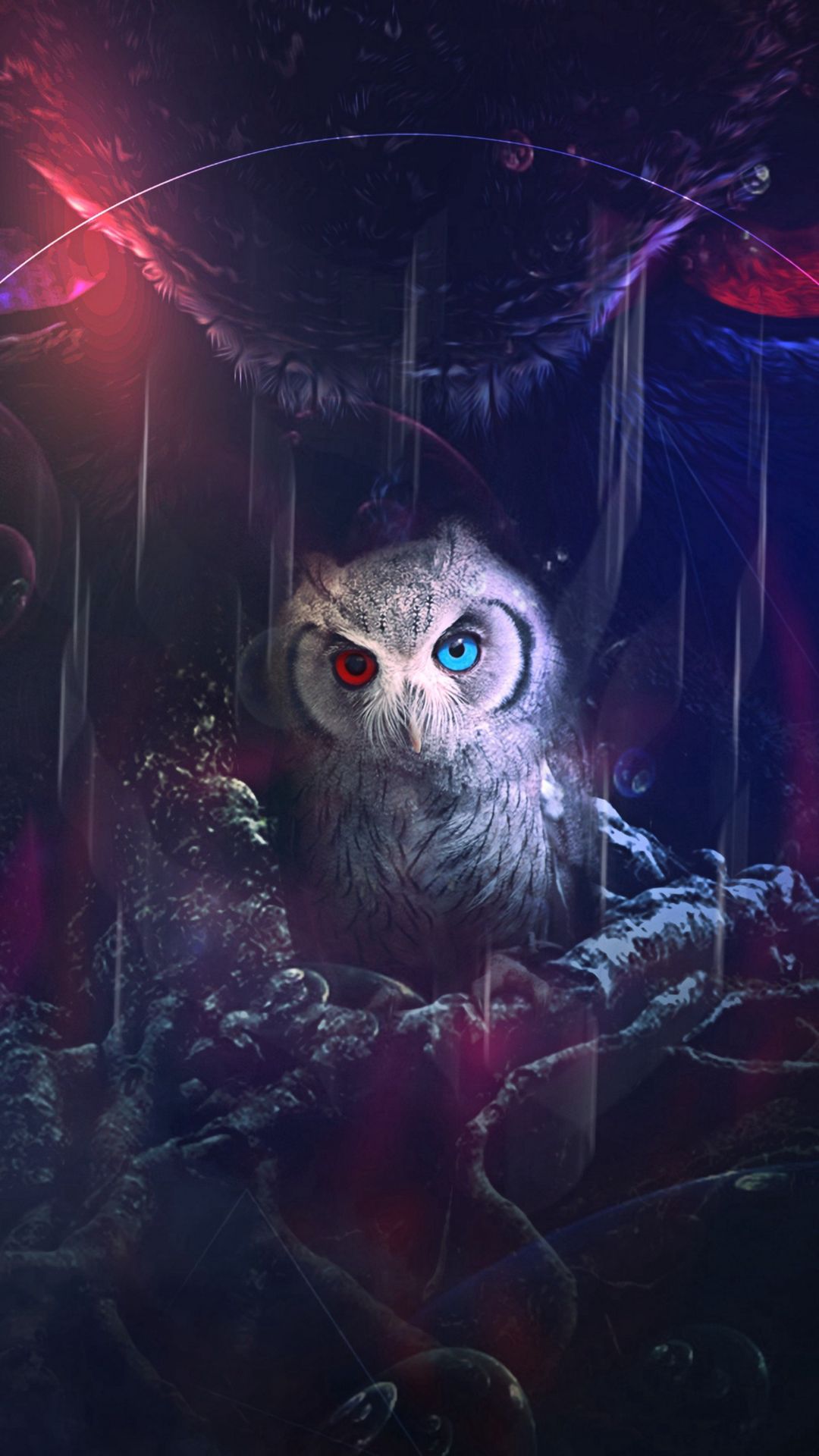 Cool Owl Wallpapers