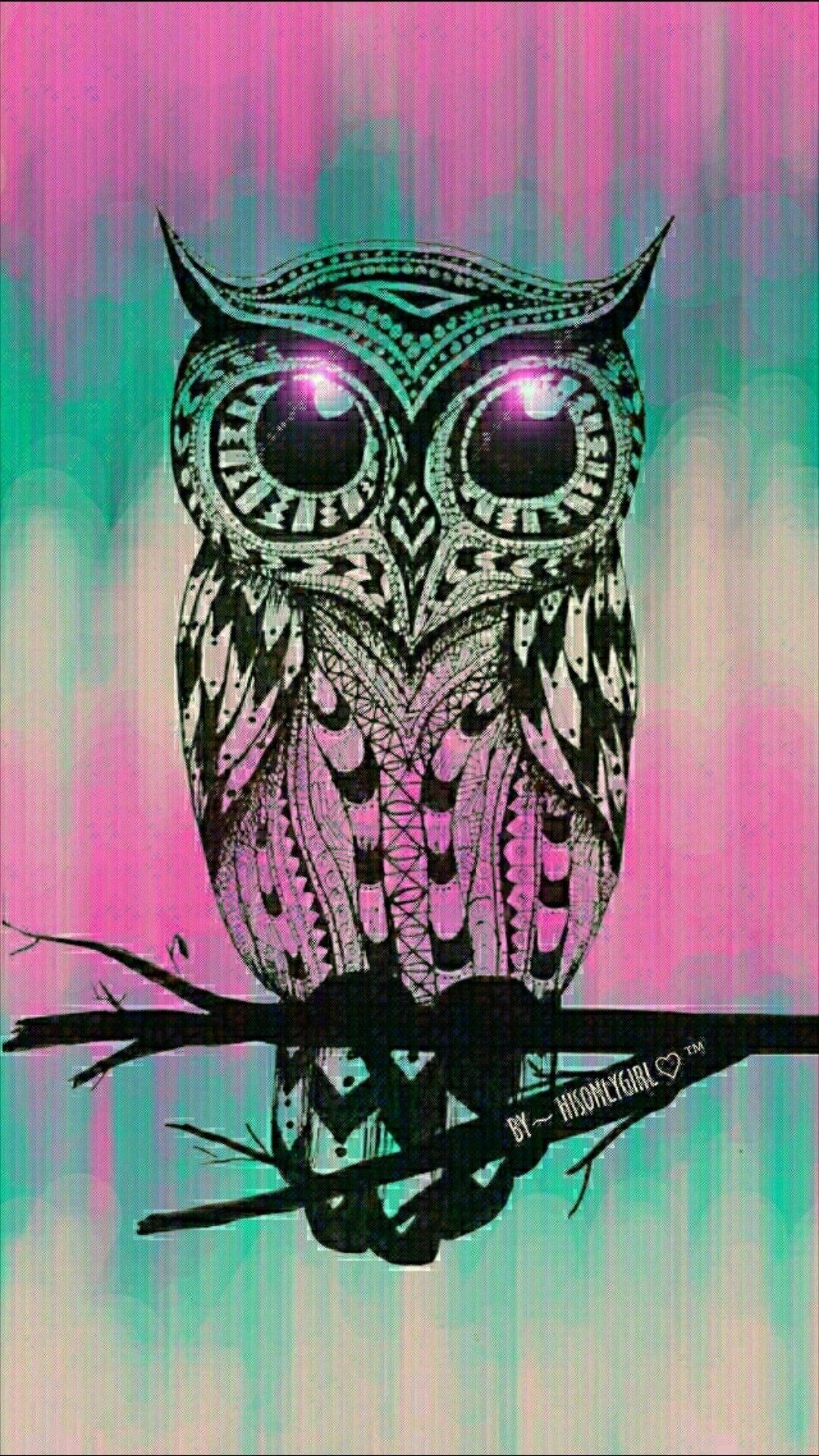 Cool Owl Wallpapers