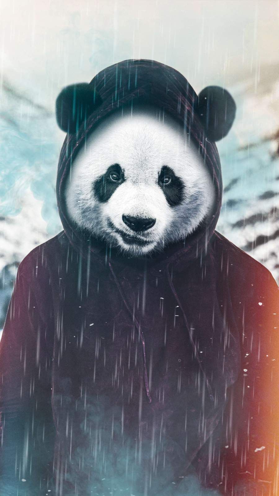 Cool Panda Wallpapers