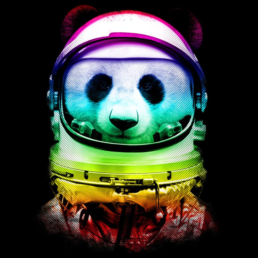 Cool Panda Wallpapers