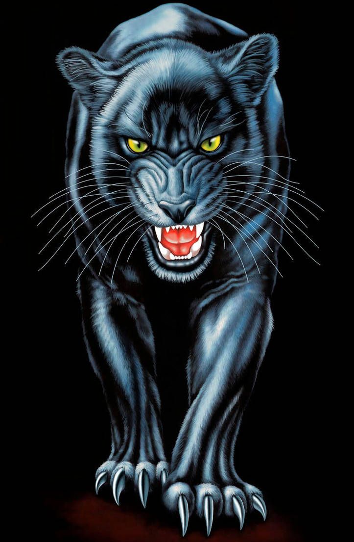 Cool Panther Wallpapers