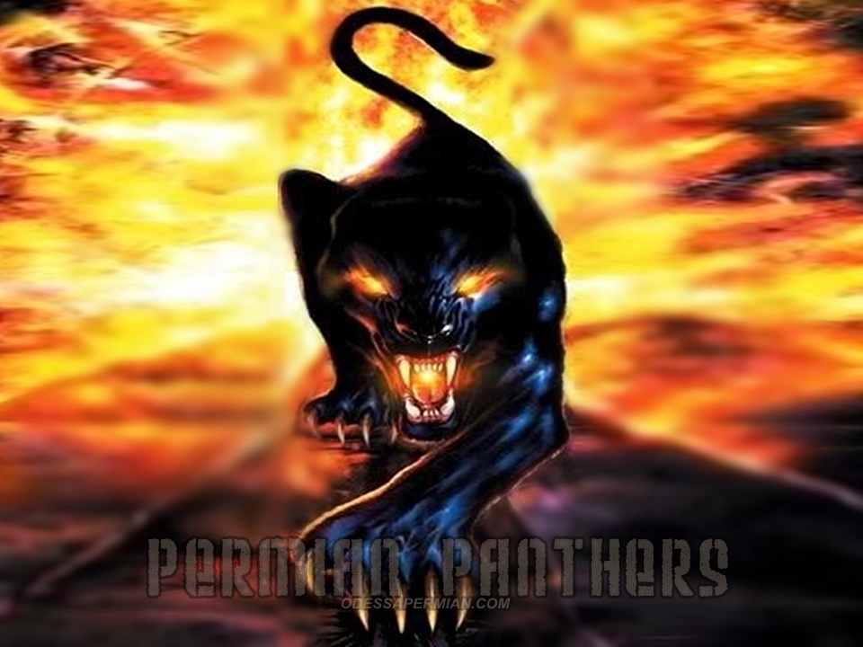 Cool Panther Wallpapers