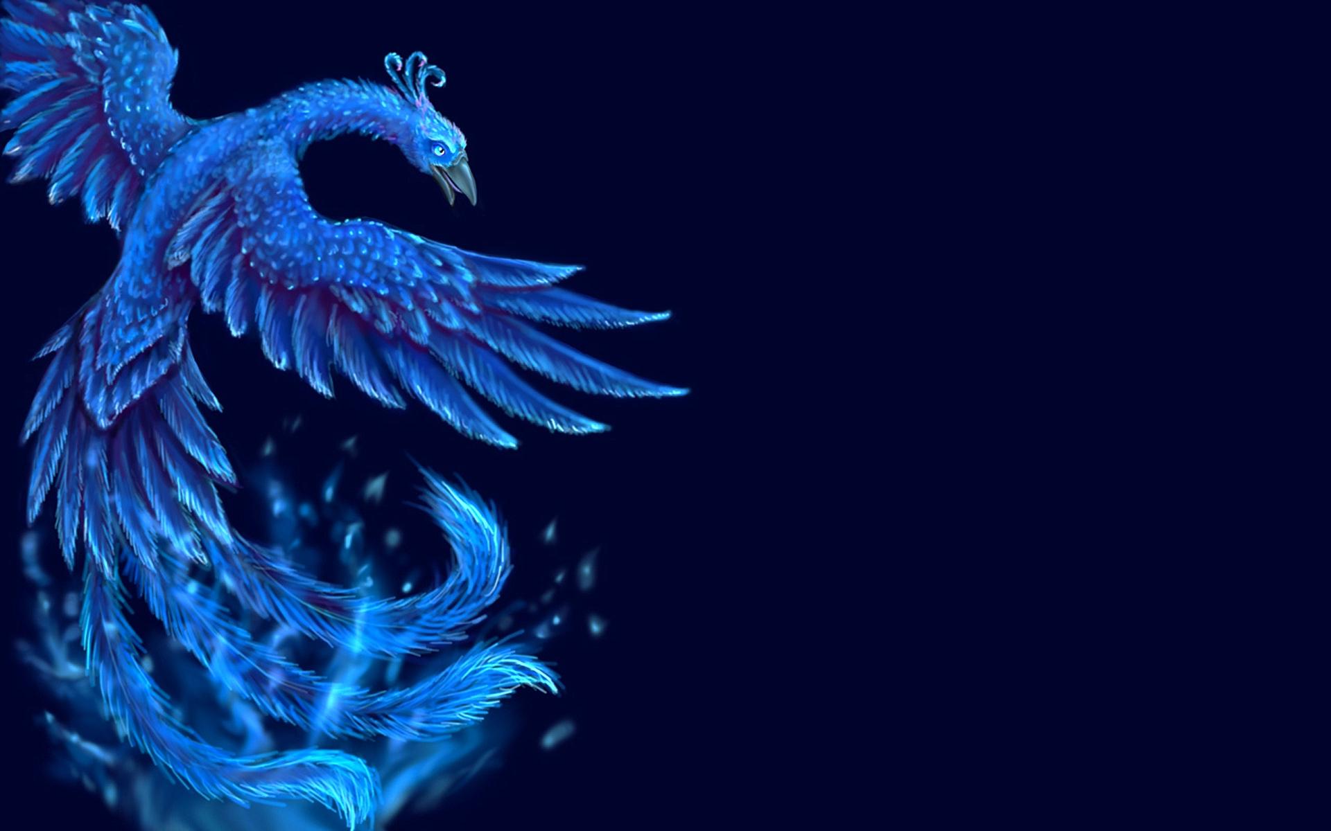 Cool Phoenix Wallpapers