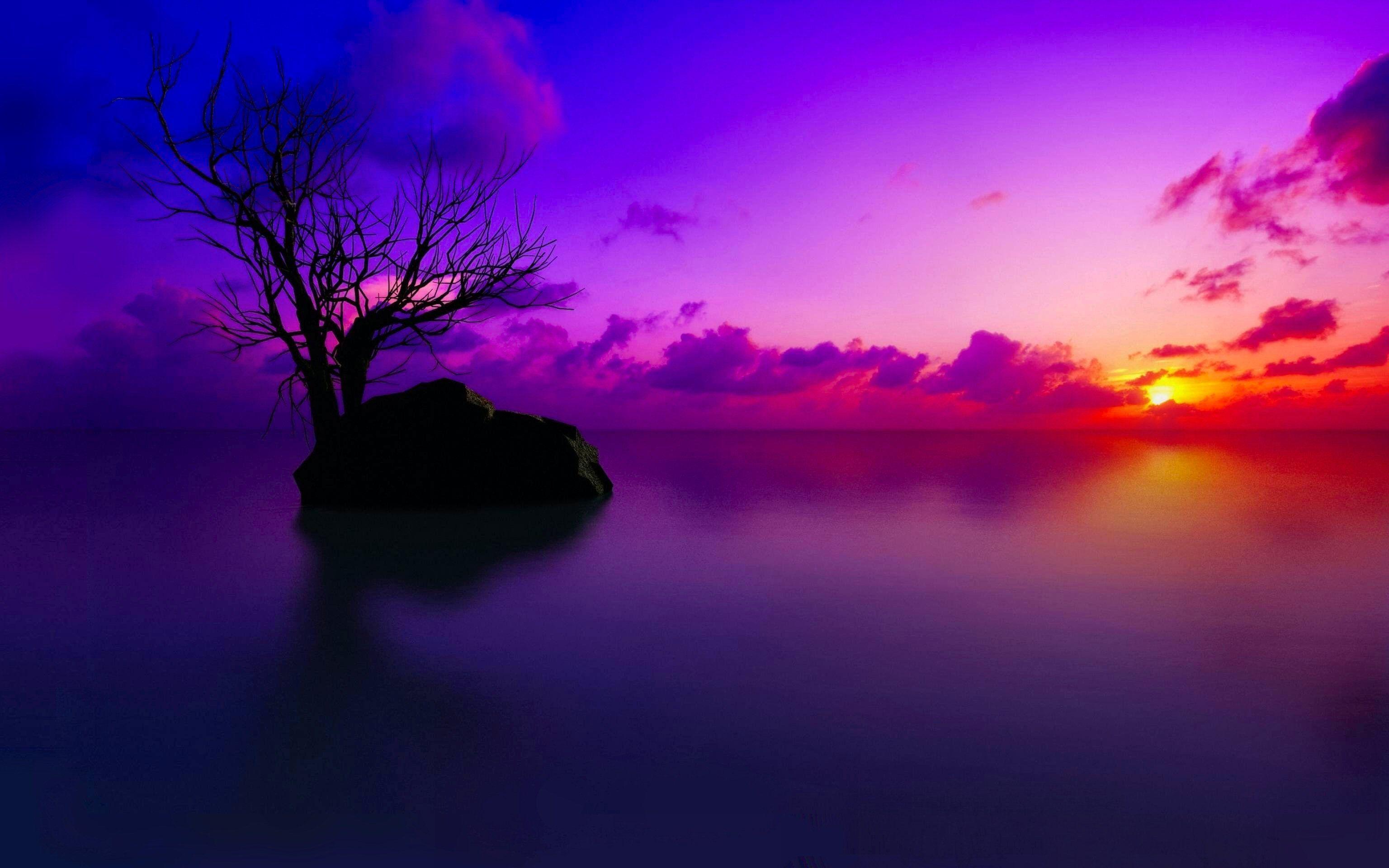 Cool Purple Desktop Wallpapers