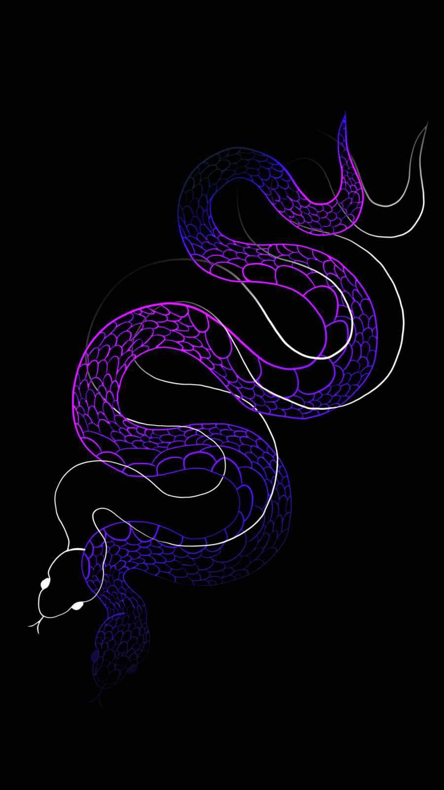 Cool Snake Wallpapers