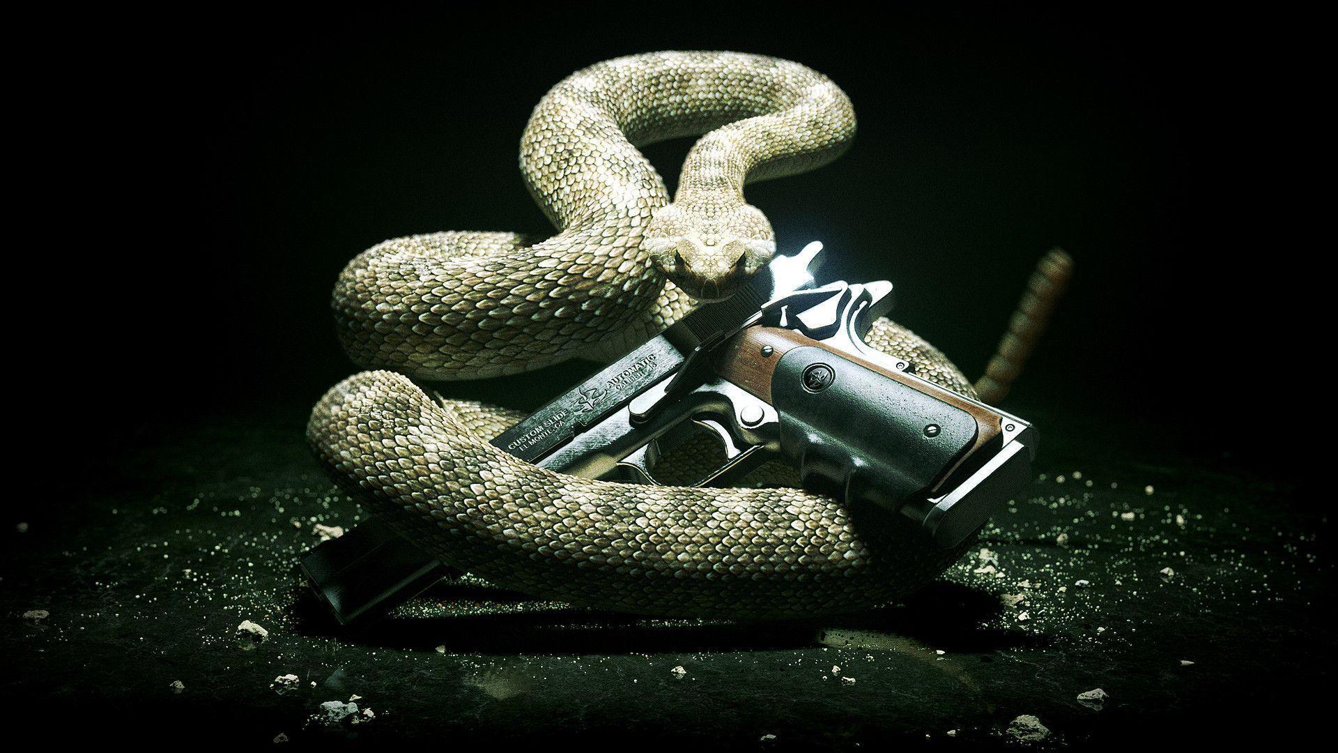 Cool SnakeWallpapers