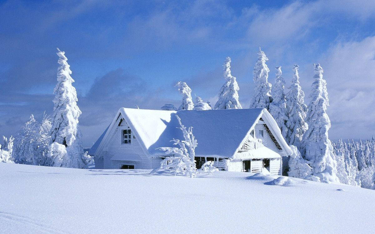 Cool Snow Wallpapers
