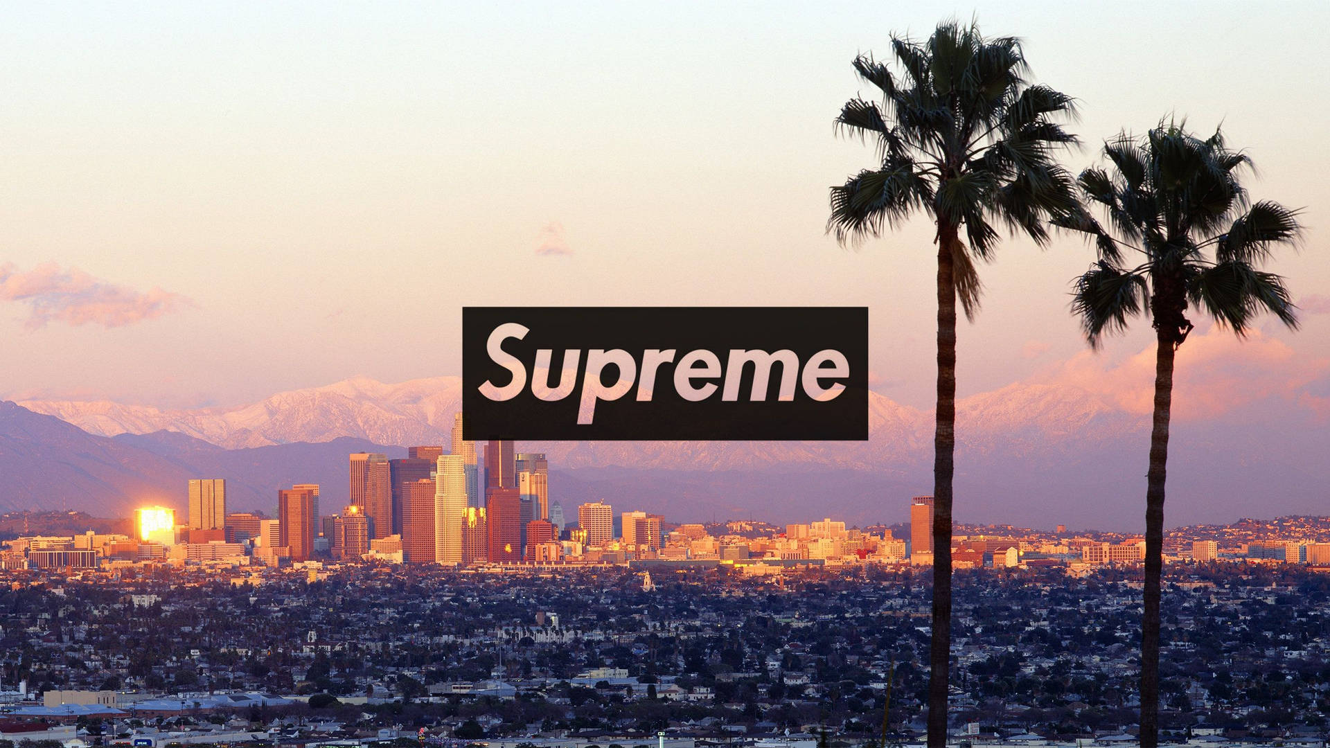 Cool Supreme Wallpapers