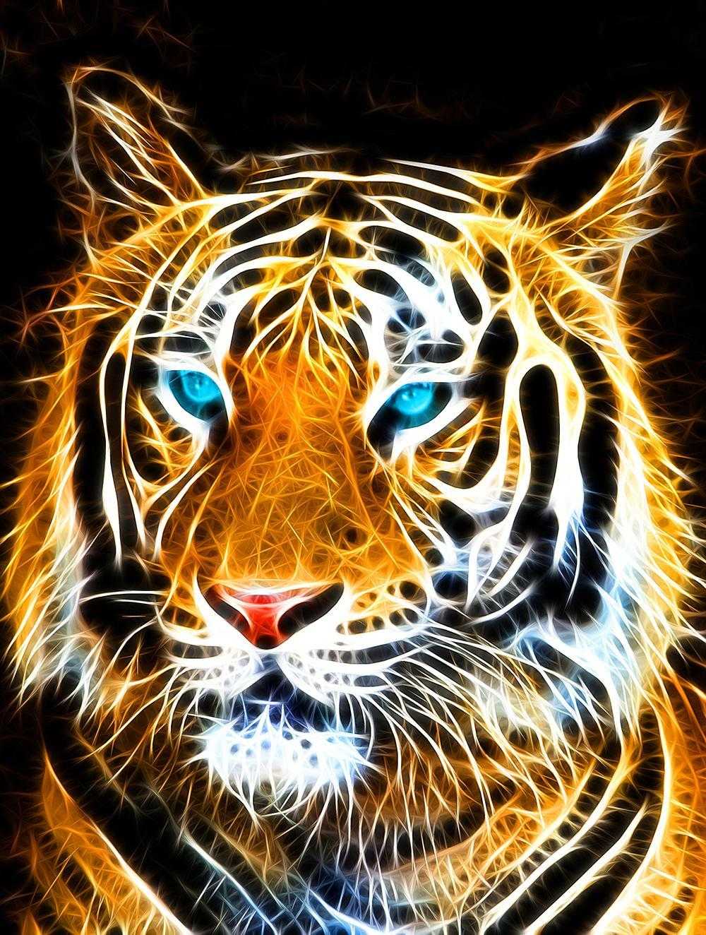 Cool TigerWallpapers