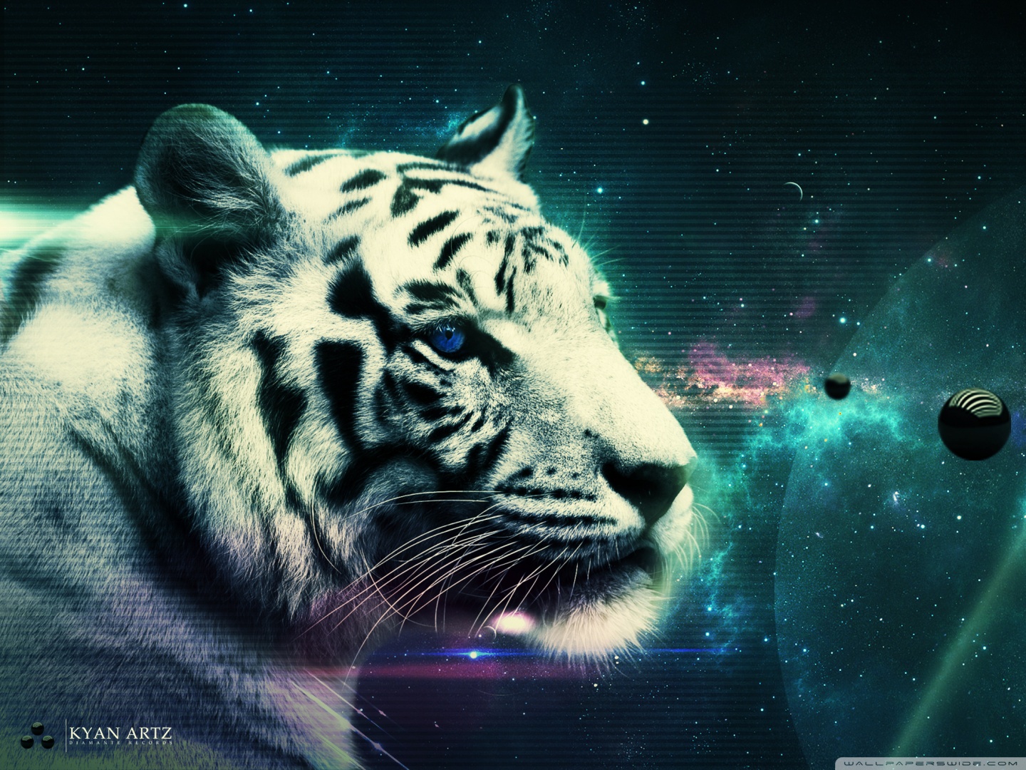 Cool TigerWallpapers