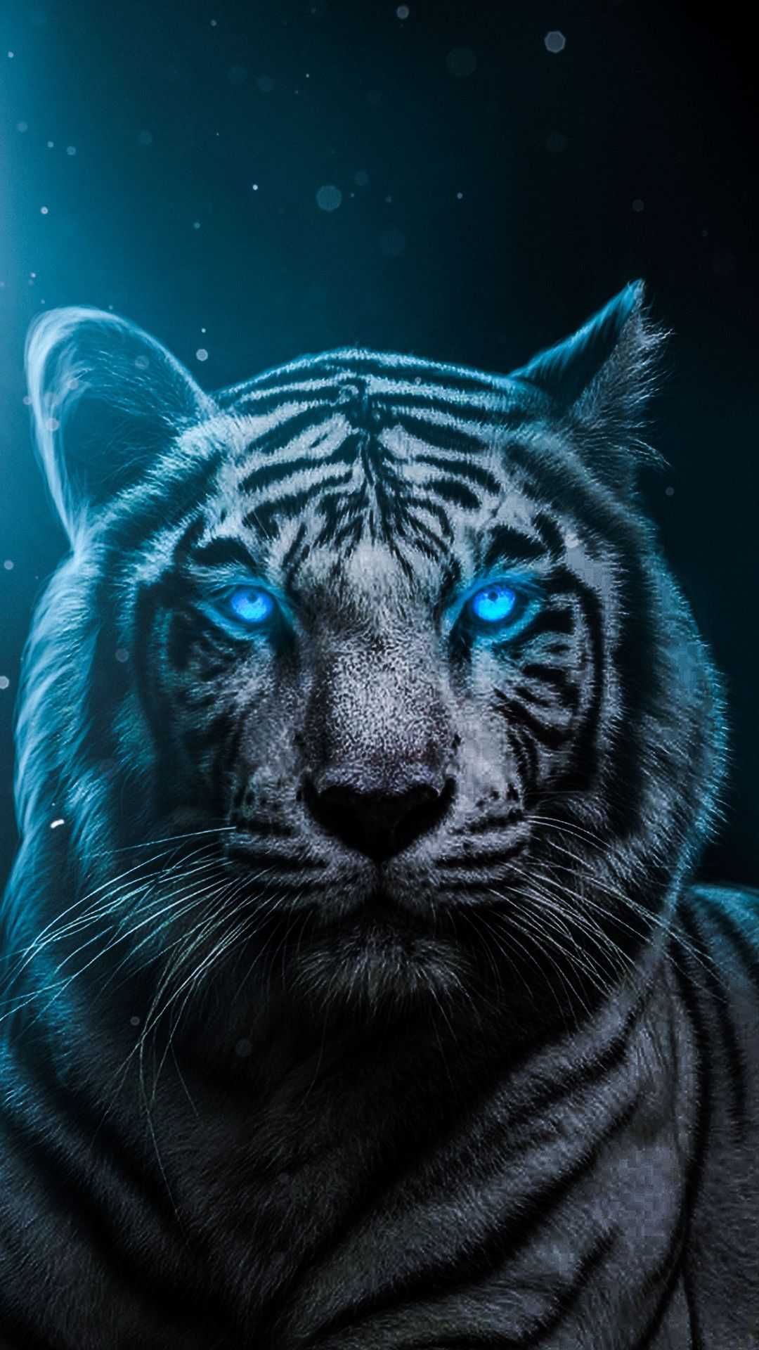 Cool TigersWallpapers
