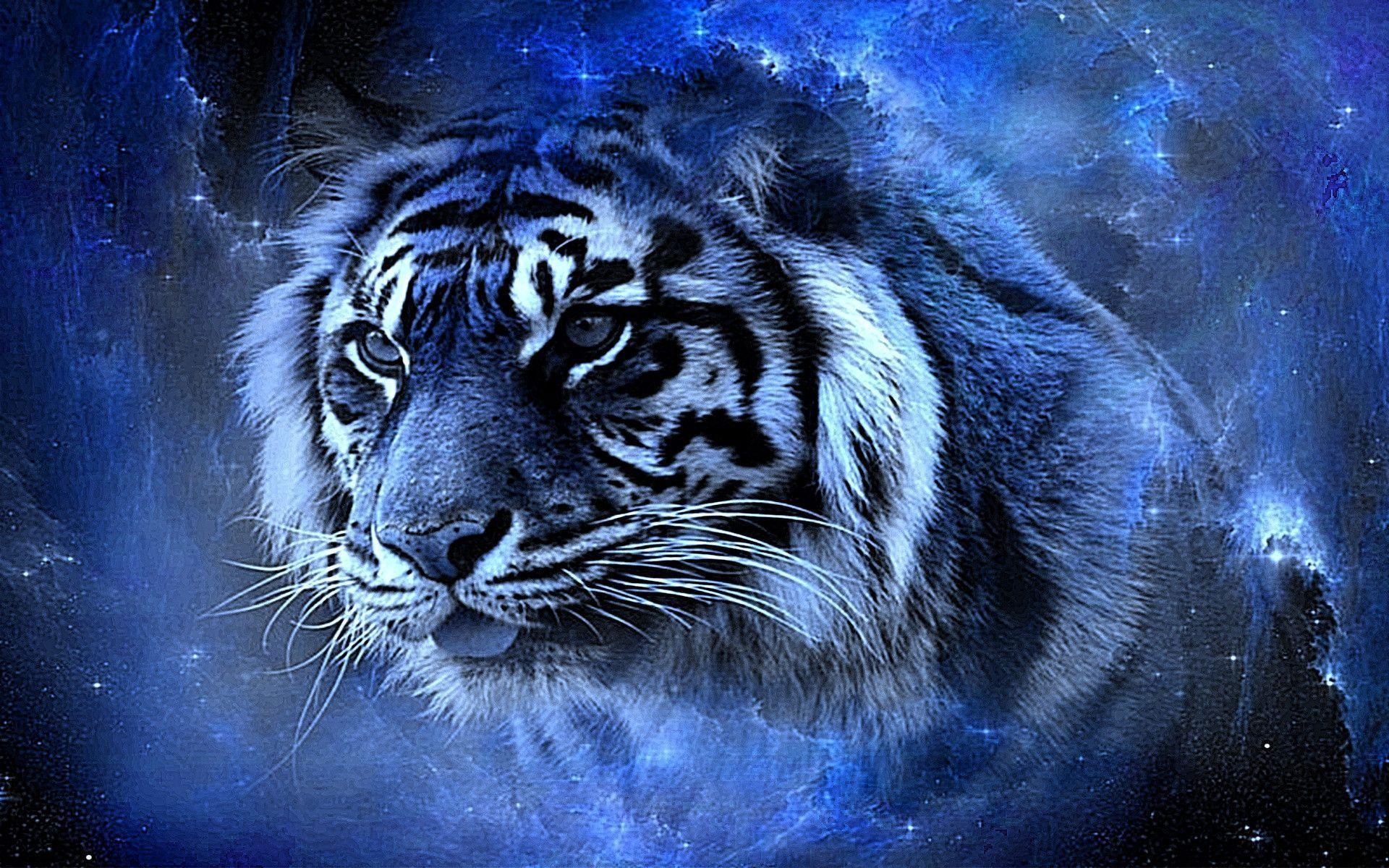 Cool TigersWallpapers
