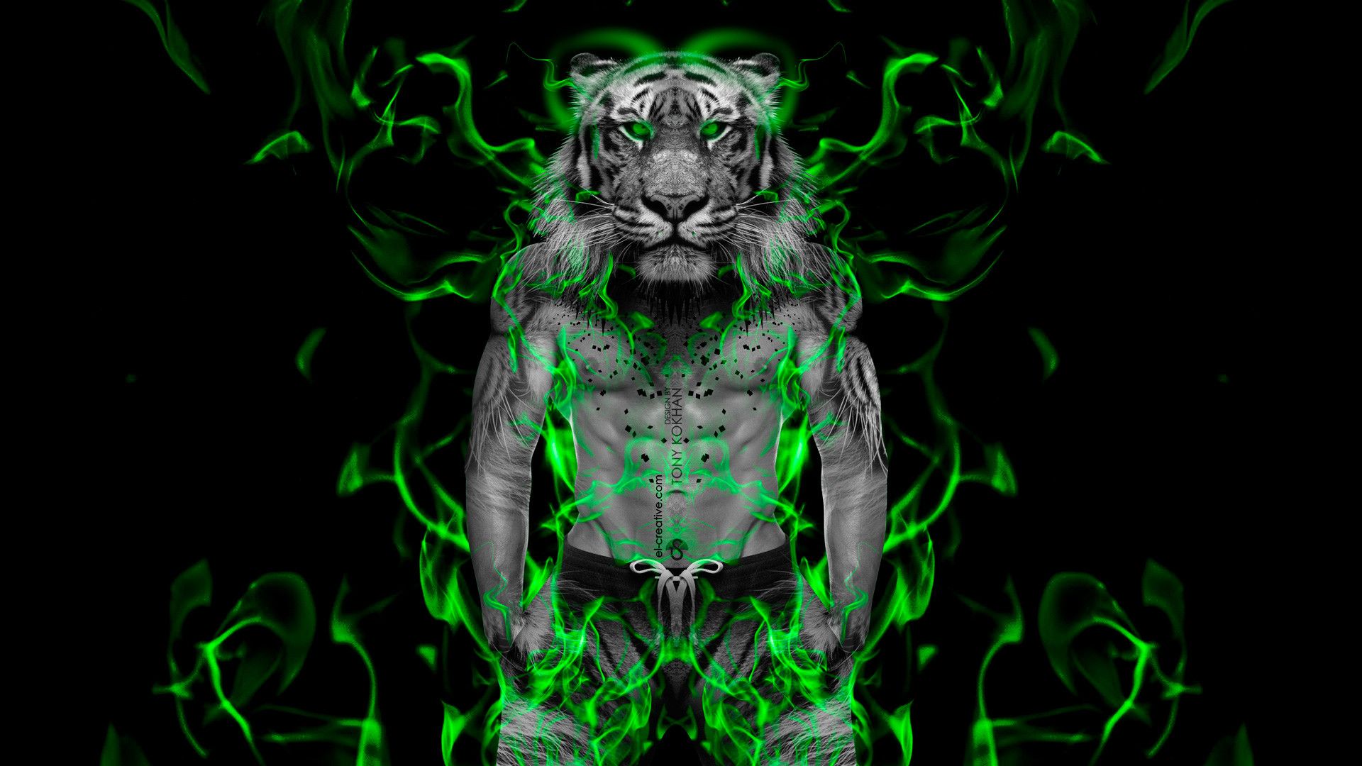 Cool TigersWallpapers