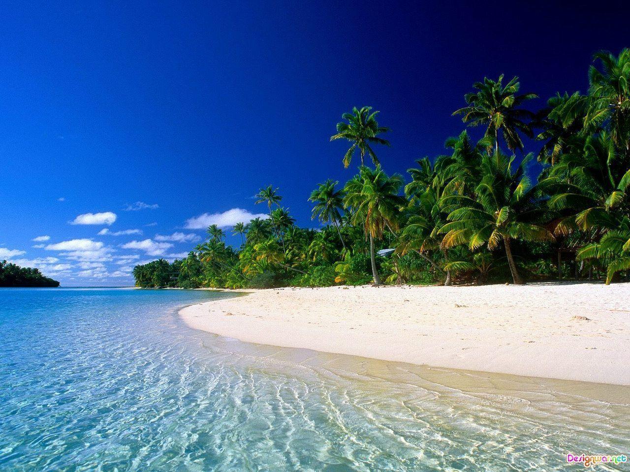 Cool Tropical Hd Computer Wallpapers