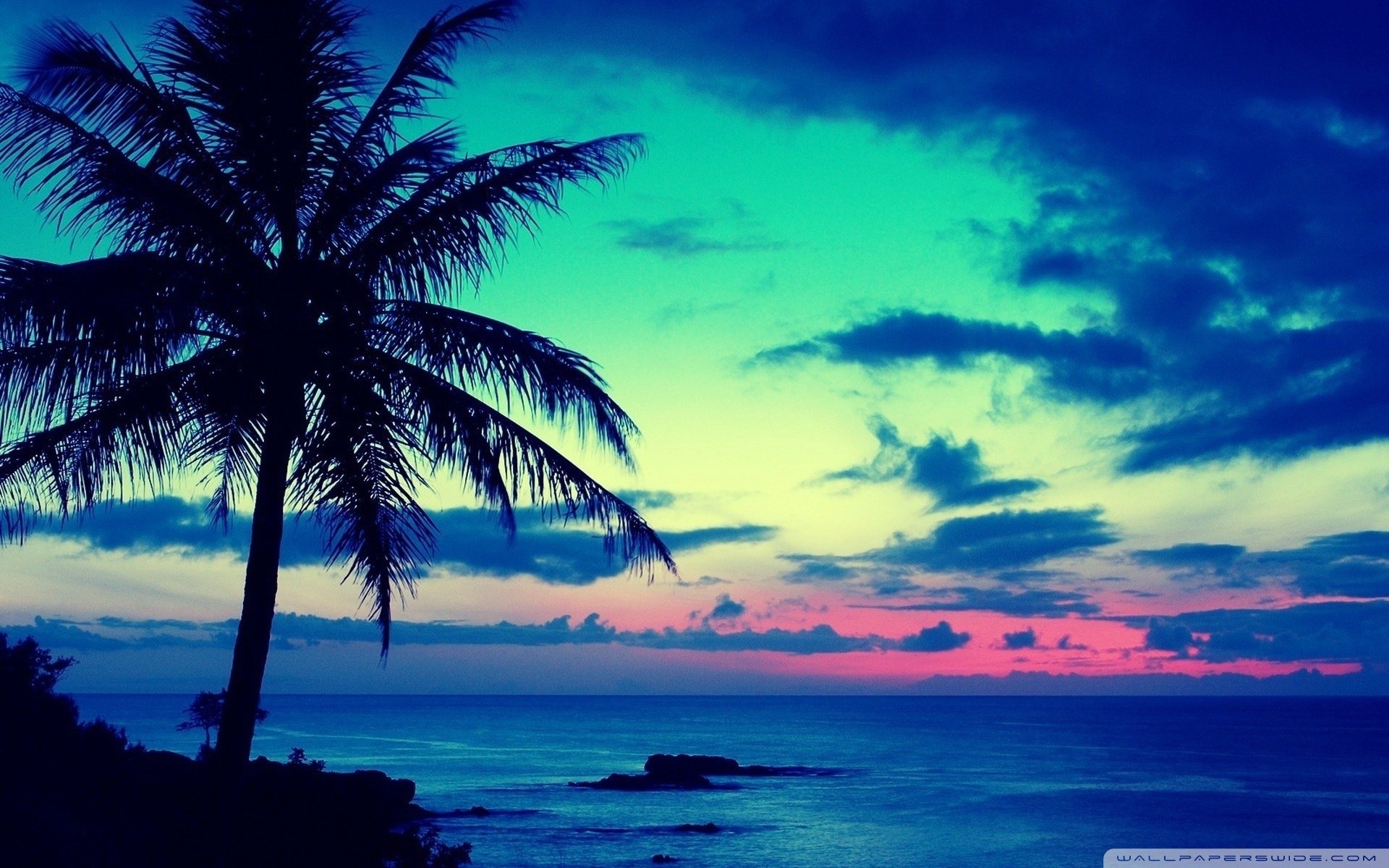 Cool Tropical Hd Computer Wallpapers