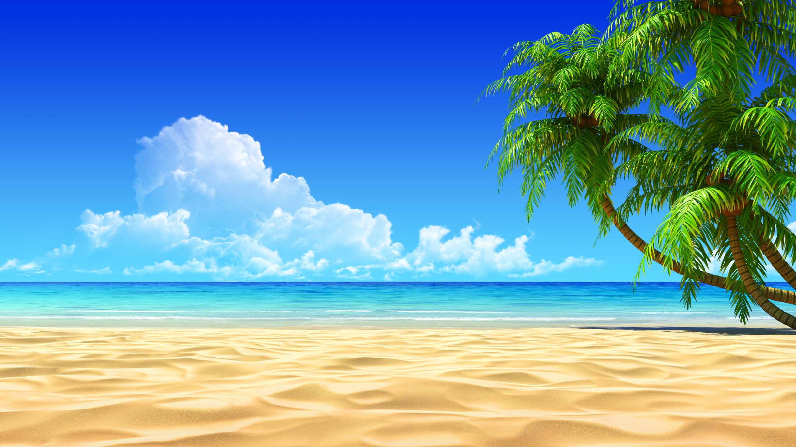 Cool Tropical Hd Computer Wallpapers