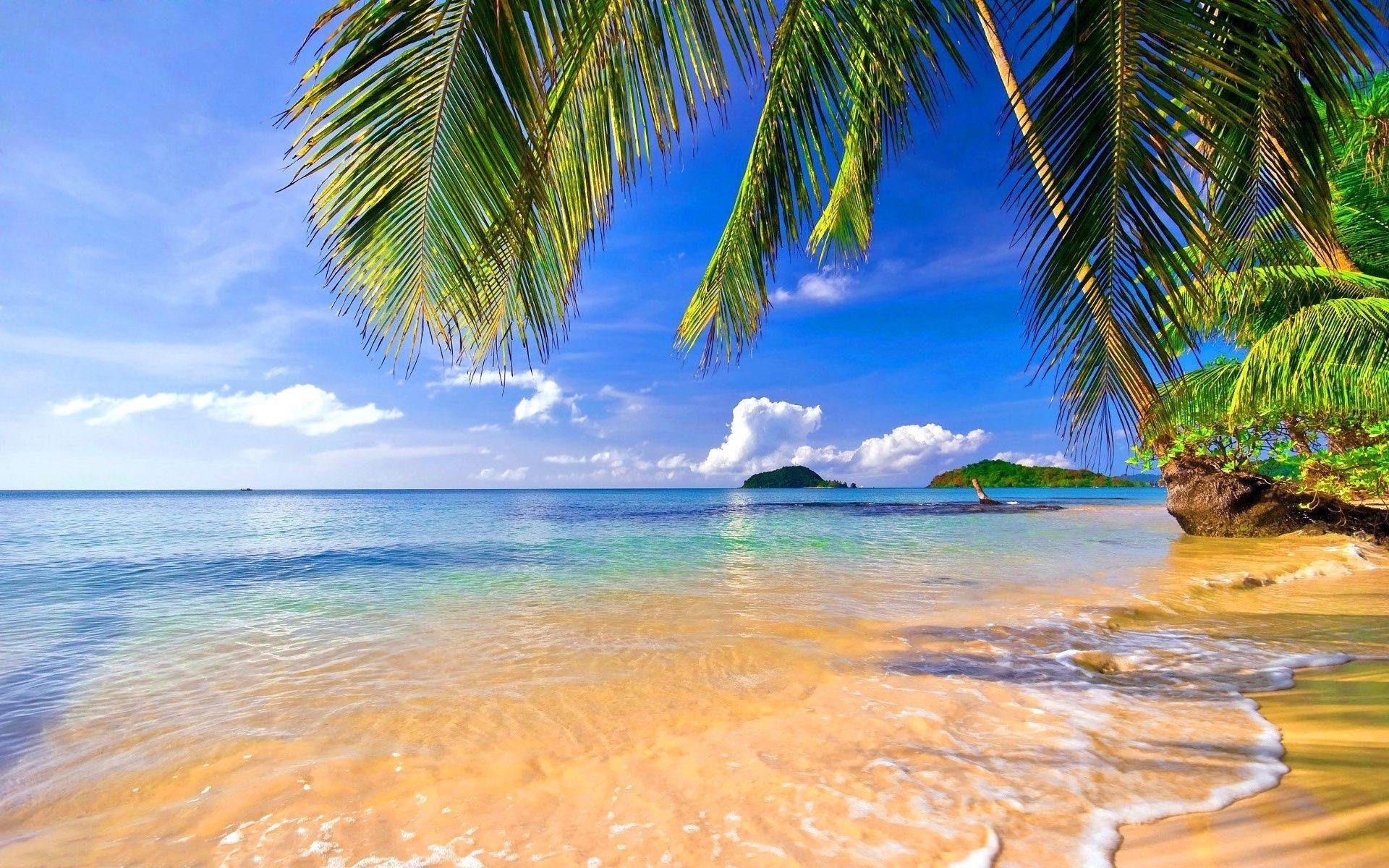 Cool Tropical Hd Computer Wallpapers