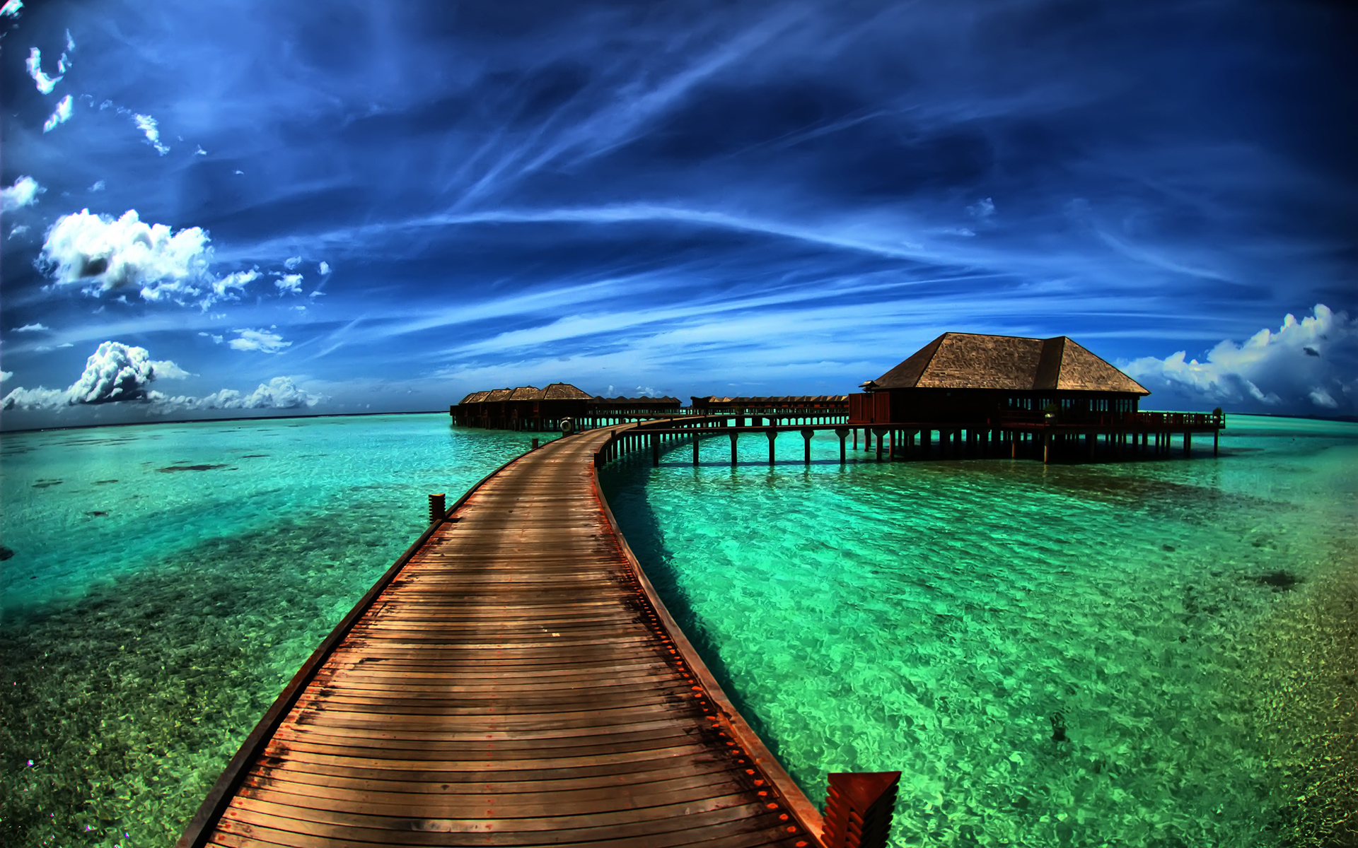 Cool Tropical Hd Computer Wallpapers