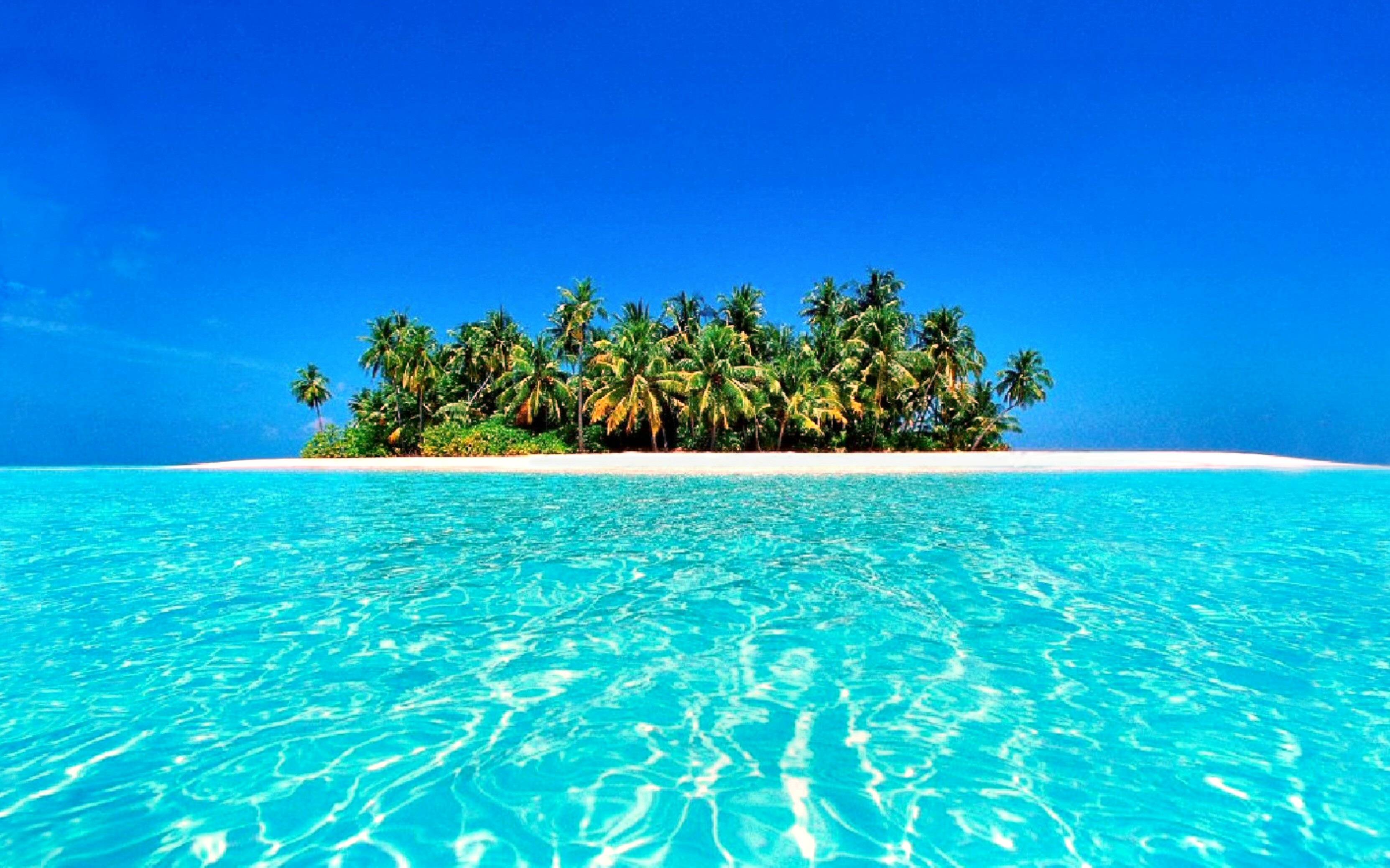 Cool Tropical Hd Computer Wallpapers