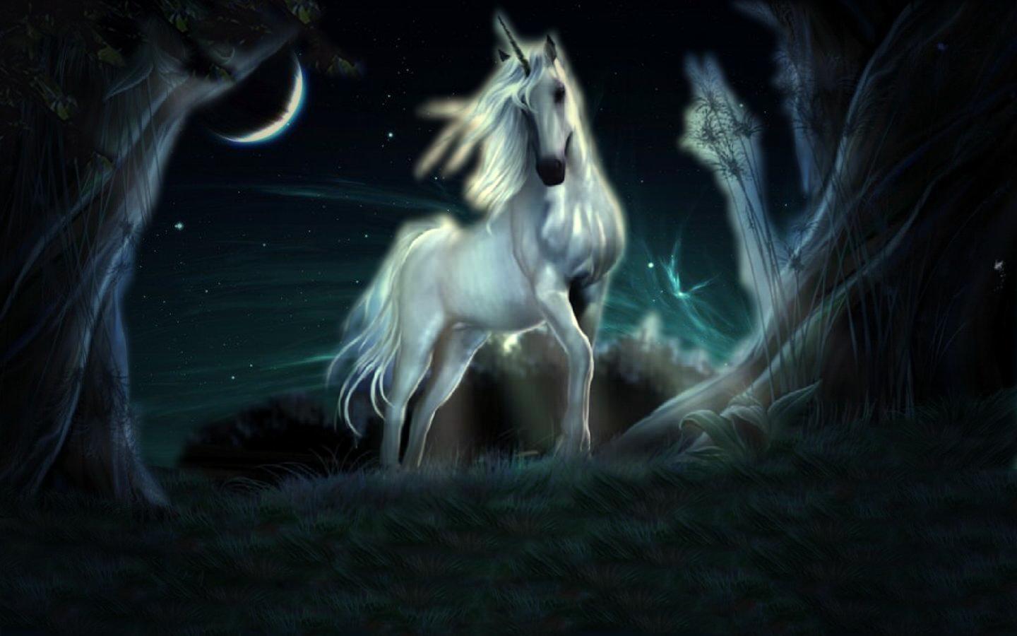 Cool Unicorn Wallpapers