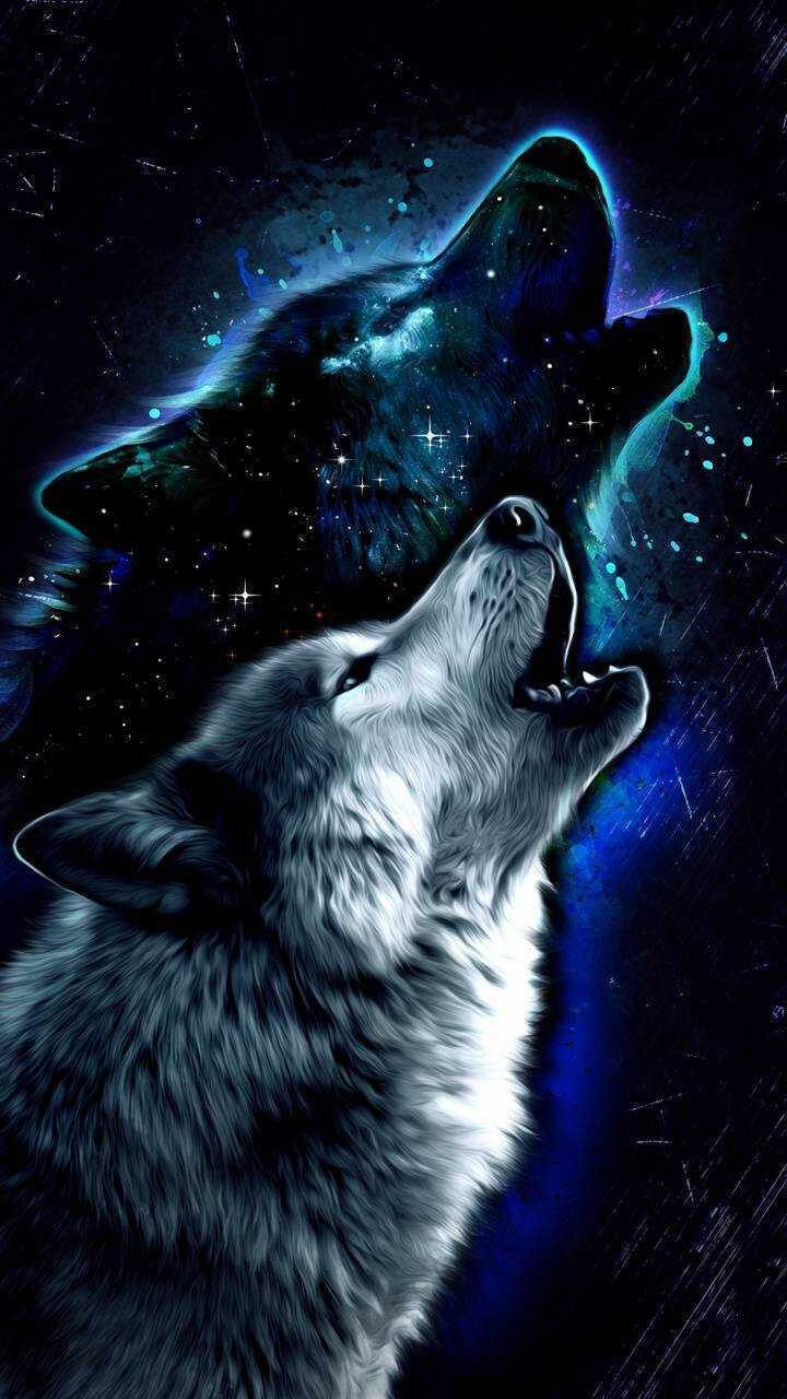 Cool Wolf Desktop Wallpapers