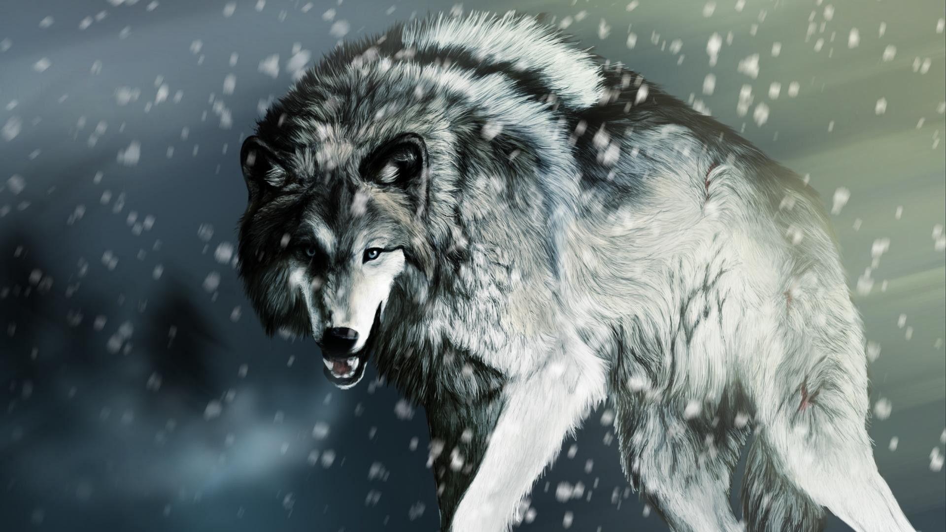 Cool Wolf Desktop Wallpapers