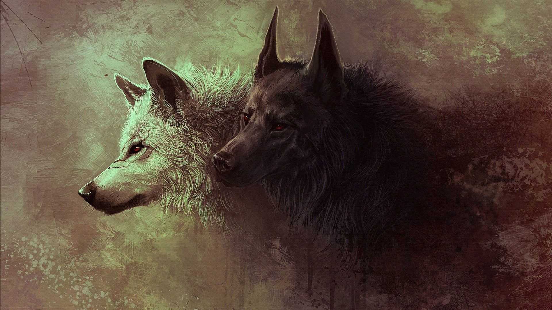 Cool Wolf Desktop Wallpapers