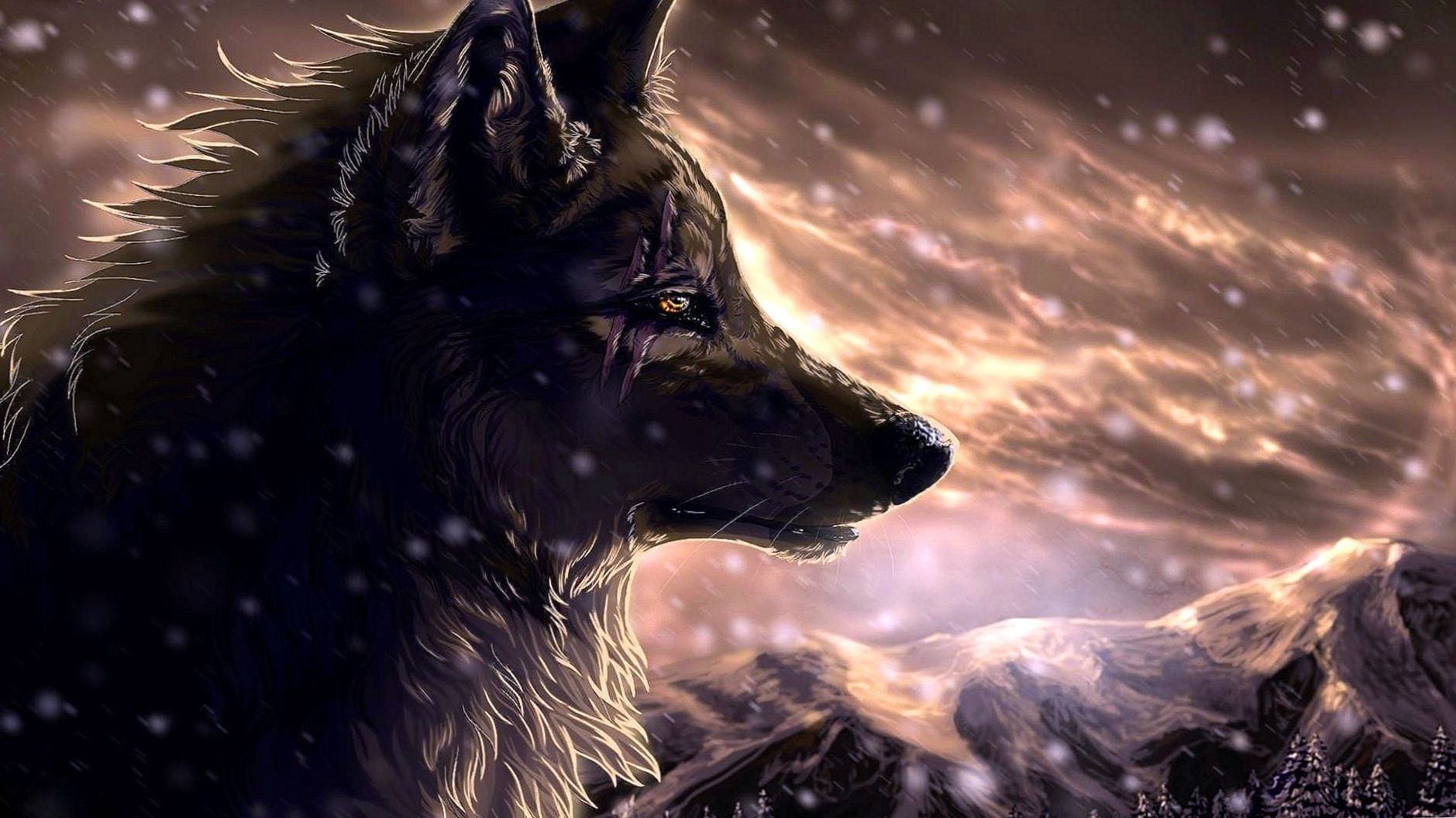 Cool Wolf Desktop Wallpapers