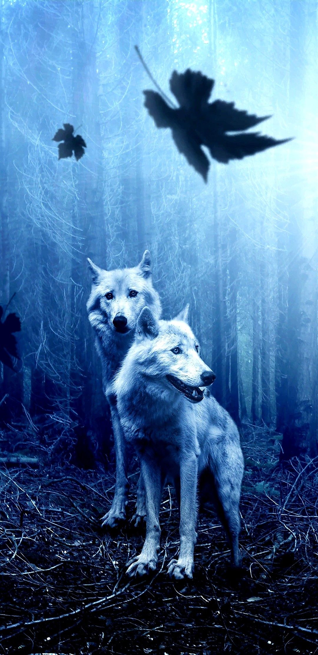 Cool Wolf Phone Wallpapers