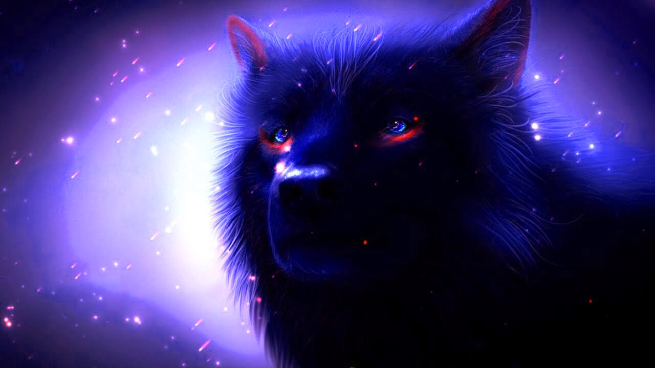 Cool Wolf  Wallpapers