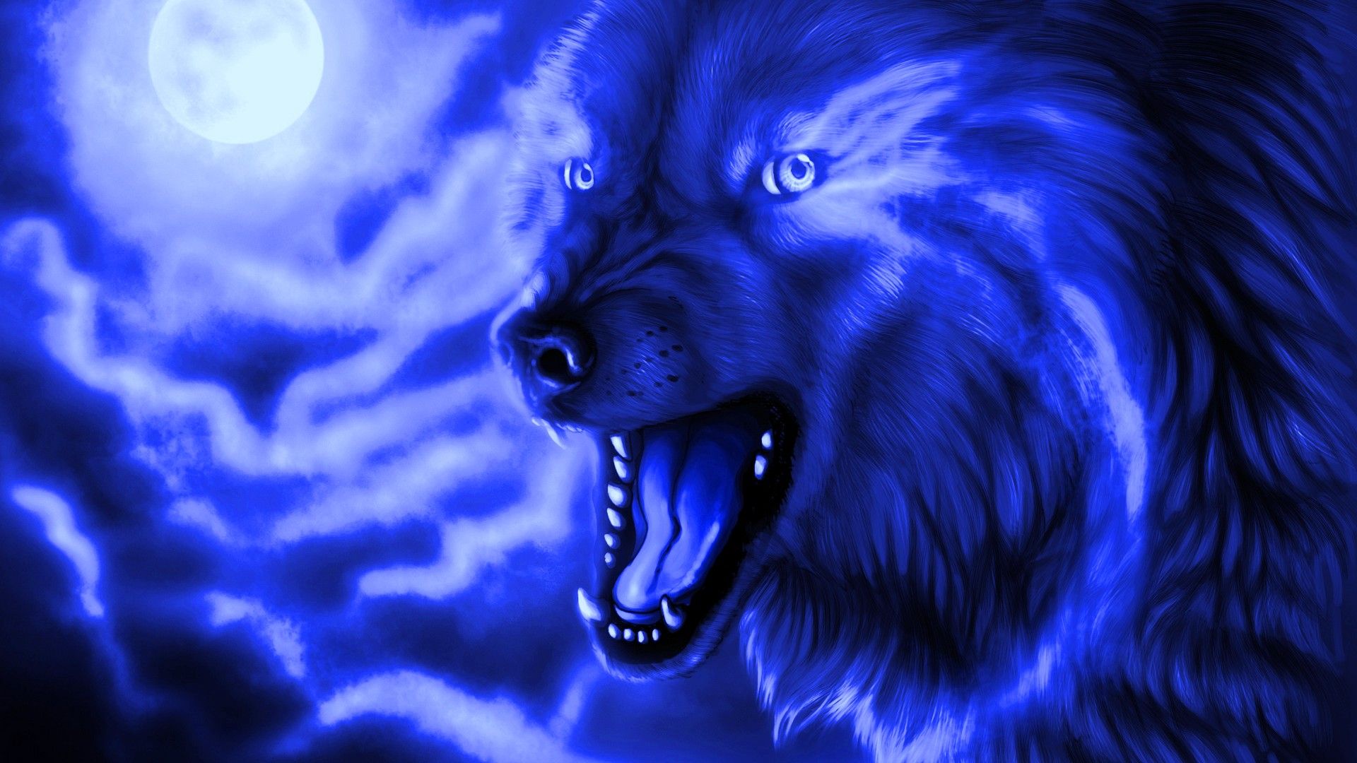 Cool Wolf  Wallpapers