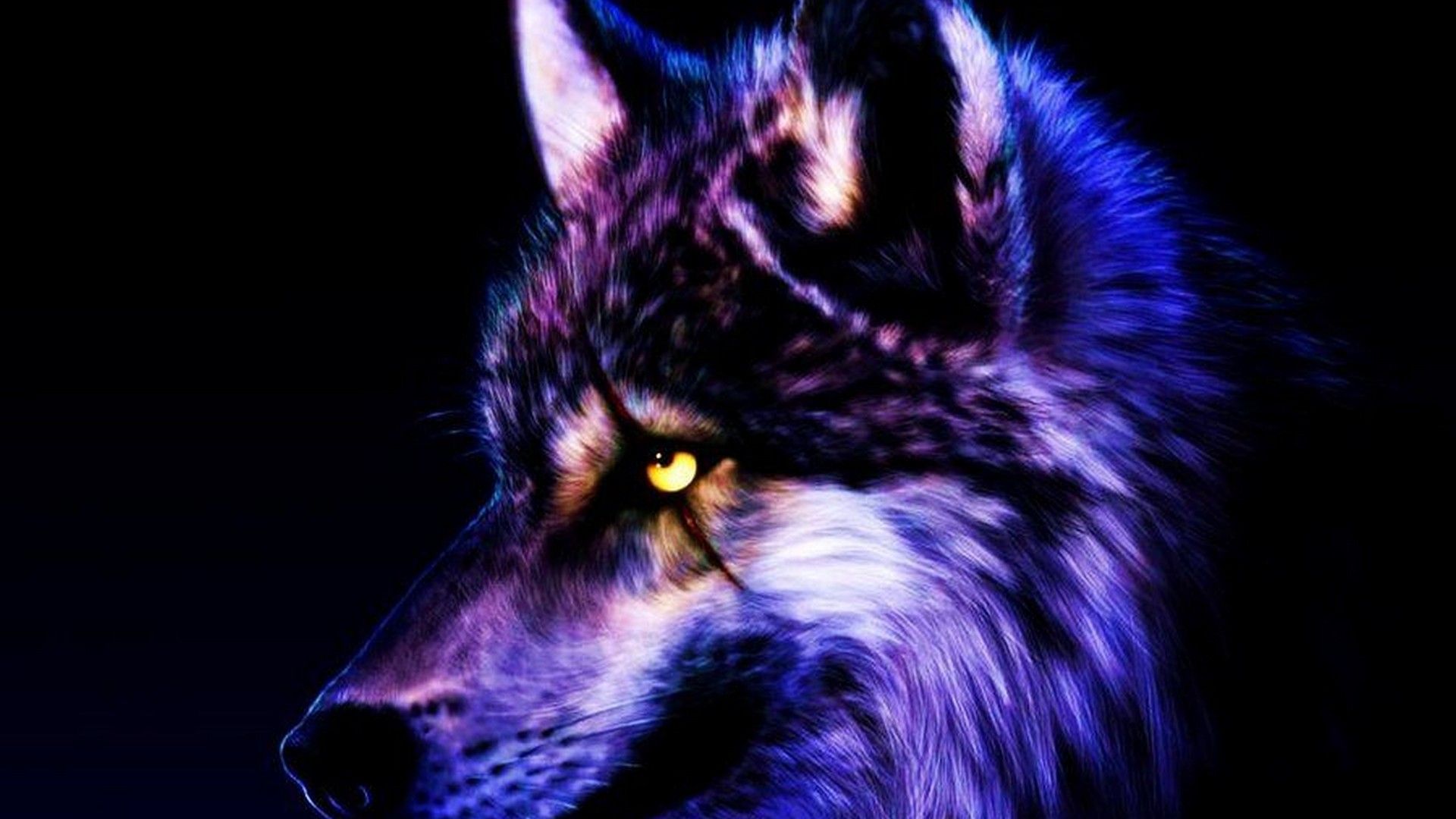 Cool WolfWallpapers