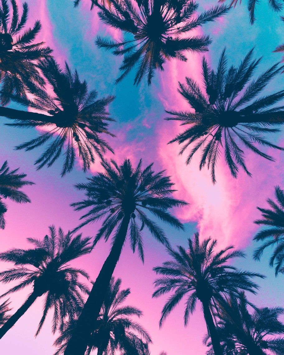 Retrowave Palm TreesWallpapers