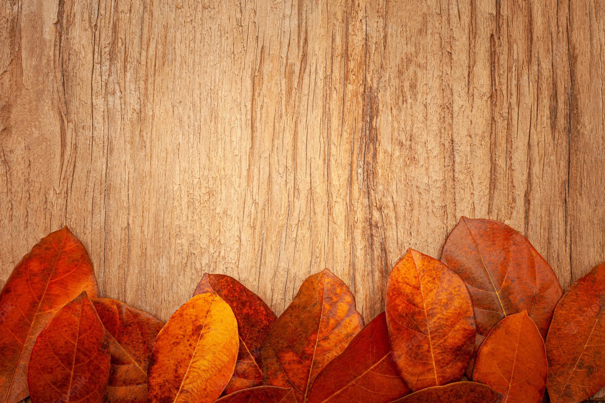 Vintage Fall Background