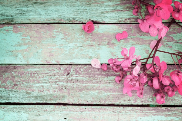 Vintage Spring Backgrounds