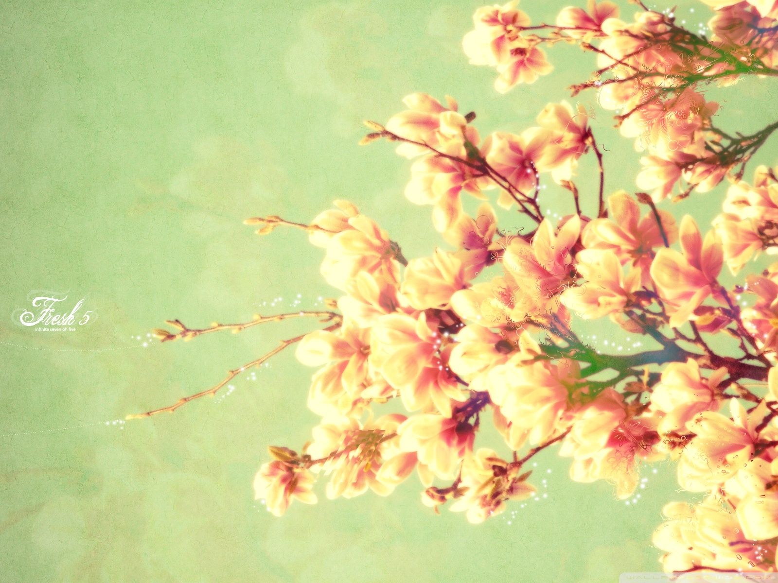 Vintage Spring Backgrounds