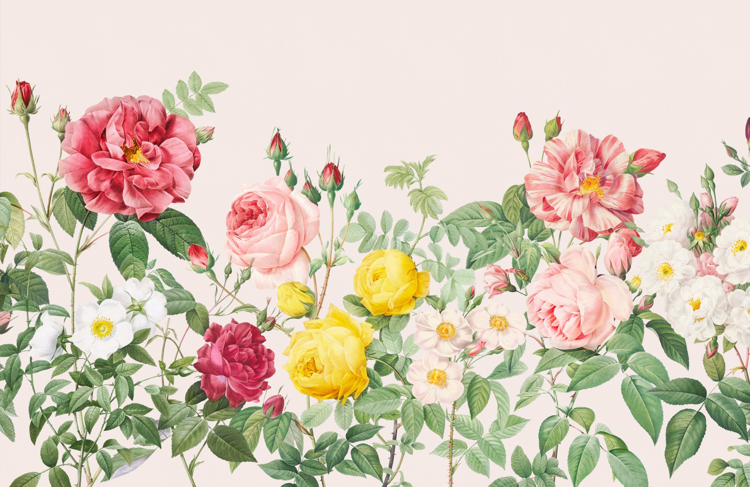 Vintage Spring Backgrounds