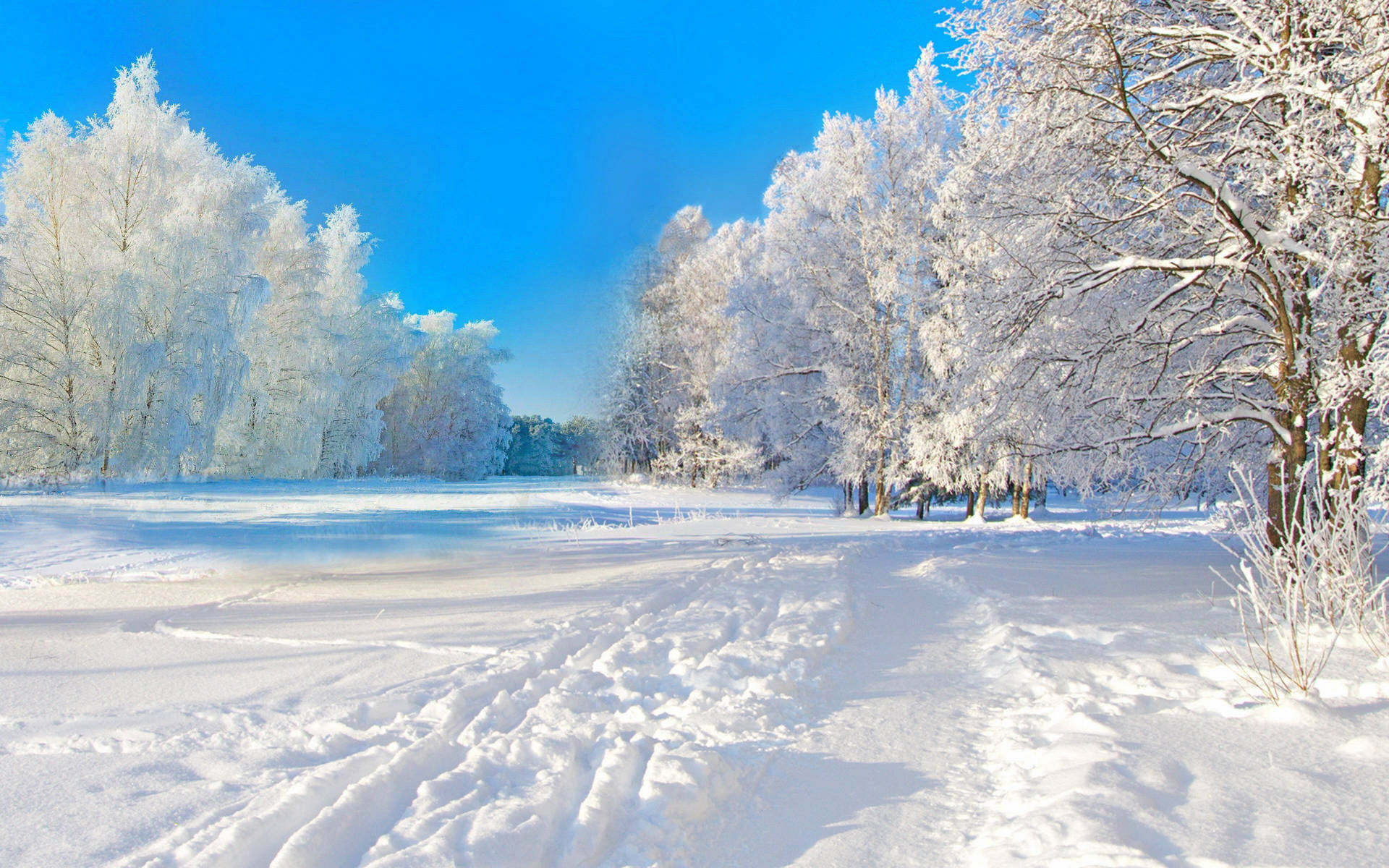 1080P Snow Wallpapers