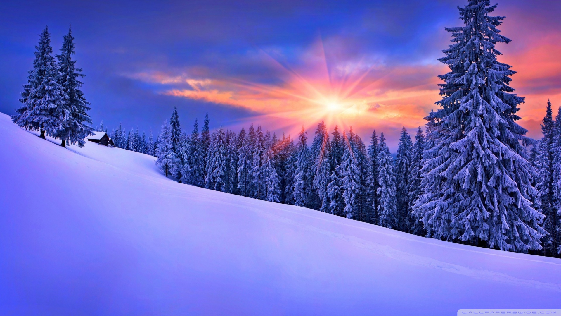 1080P Snow Wallpapers