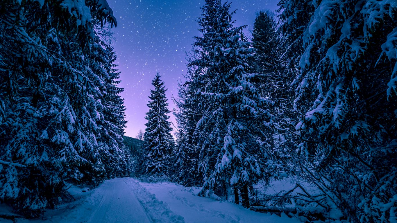 1366 X 768 Winter Wallpapers