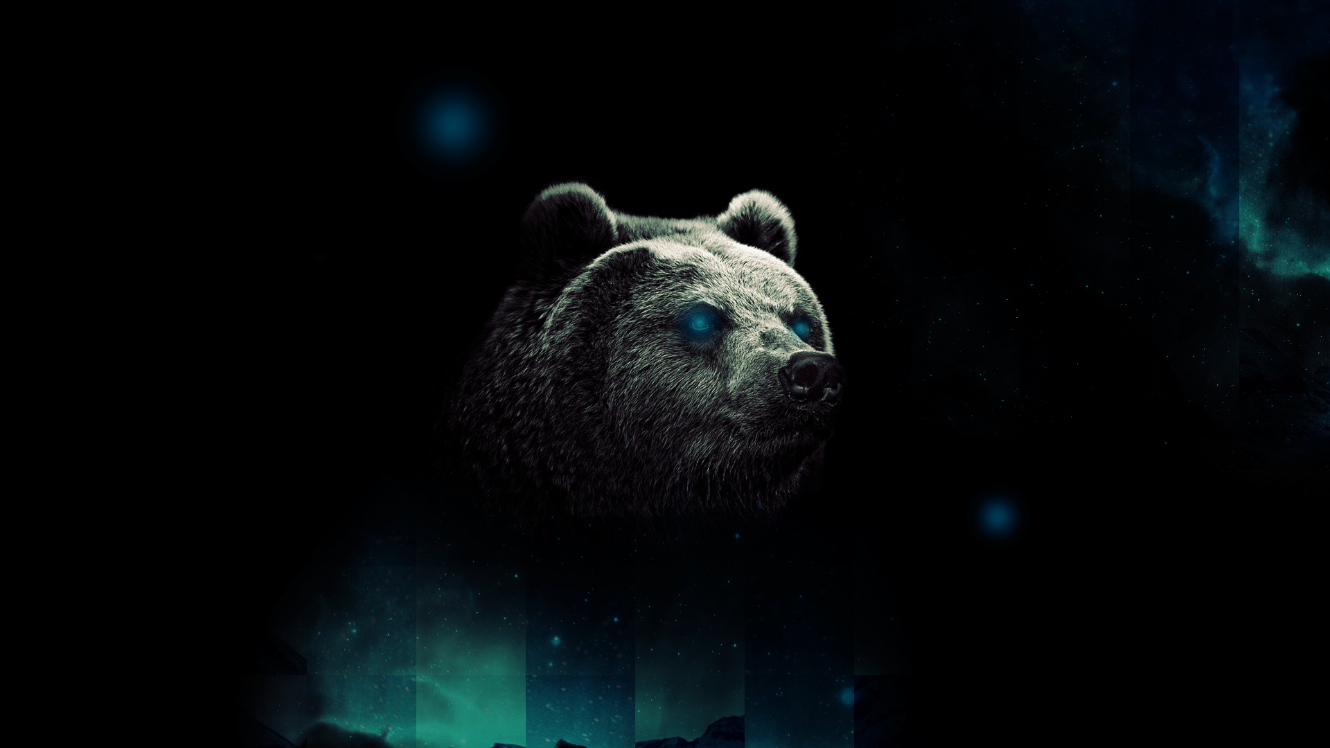 1920 X 1080 Bear Wallpapers