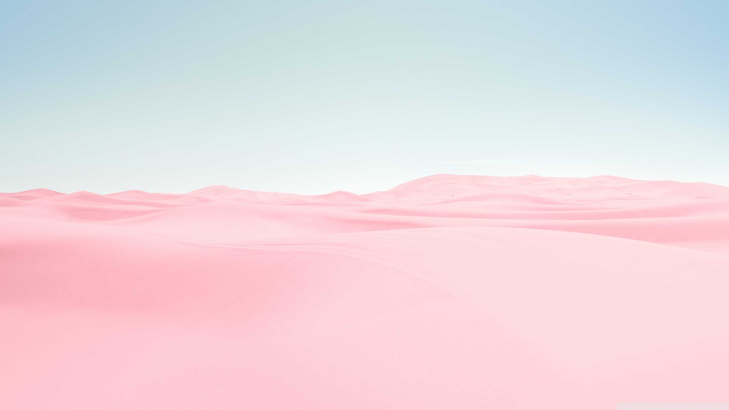2560X1440 Pink Wallpapers