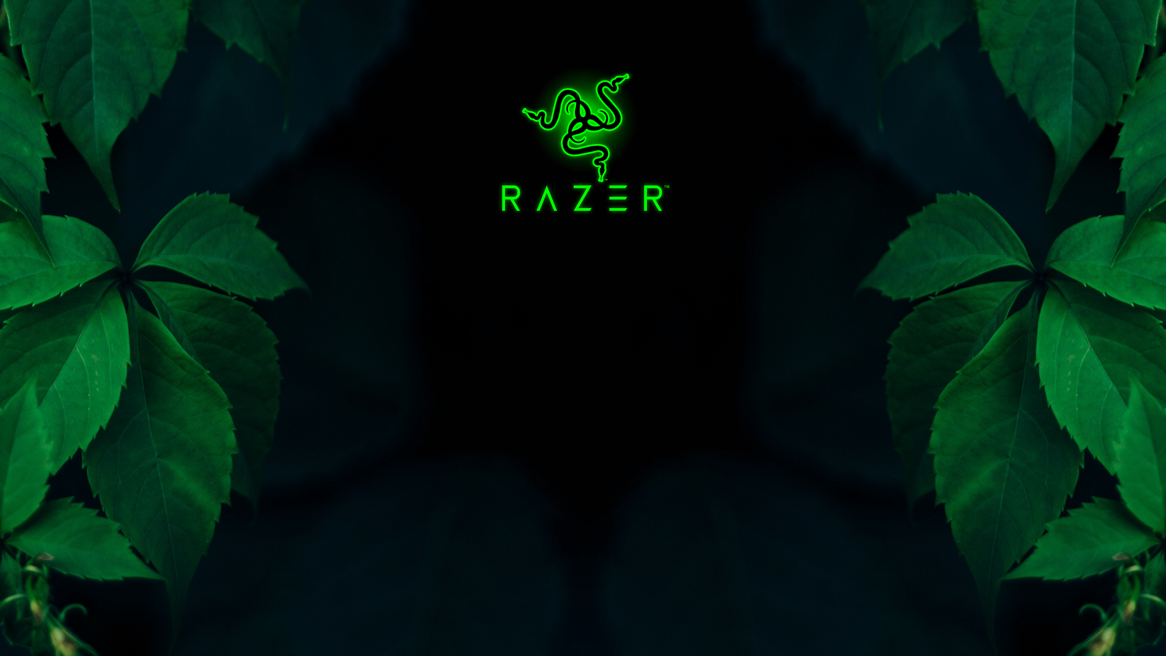 3440X1440 Razer Green Wallpapers